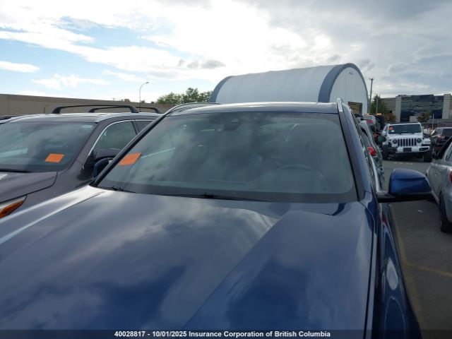 2019 BMW X5 | VIN: 5UXCR6C59KLL10239