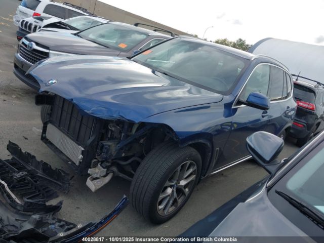 2019 BMW X5 | VIN: 5UXCR6C59KLL10239