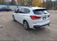 WBXJG9C01L5P55264 2020 BMW X1