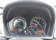 WBXJG9C01L5P55264 2020 BMW X1