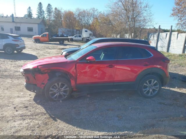 3MVDMBCM9PM532126 2023 MAZDA CX-30
