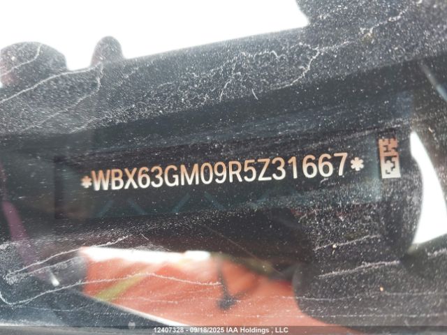 WBX63GM09R5Z31667