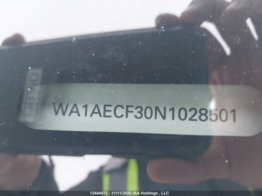 WA1AECF30N1028501