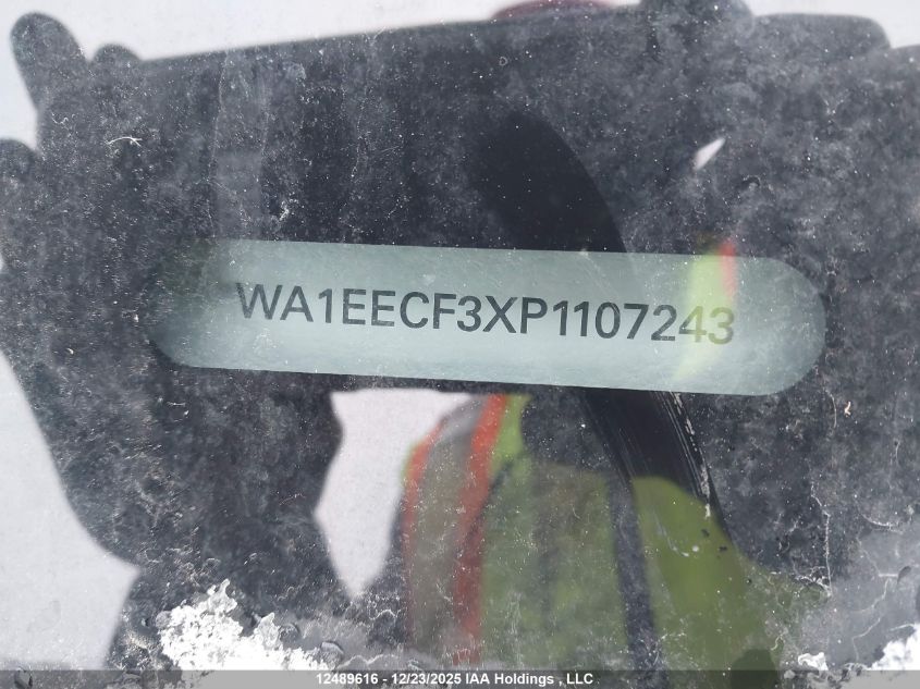2023AUDIQ3|WA1EECF3XP1107243