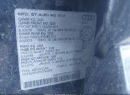 2024AUDIQ3|WA1DECF3XR1146199