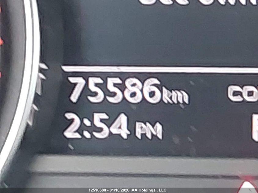 2023AUDIA4|WAUAAAF46PN019244