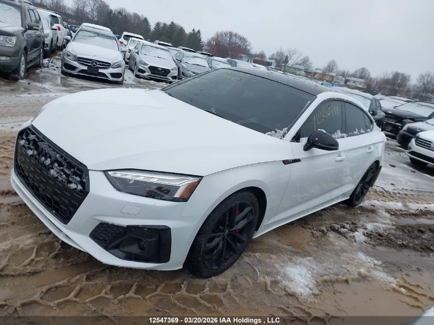 2021AUDIA5|WAUEACF56MA034495