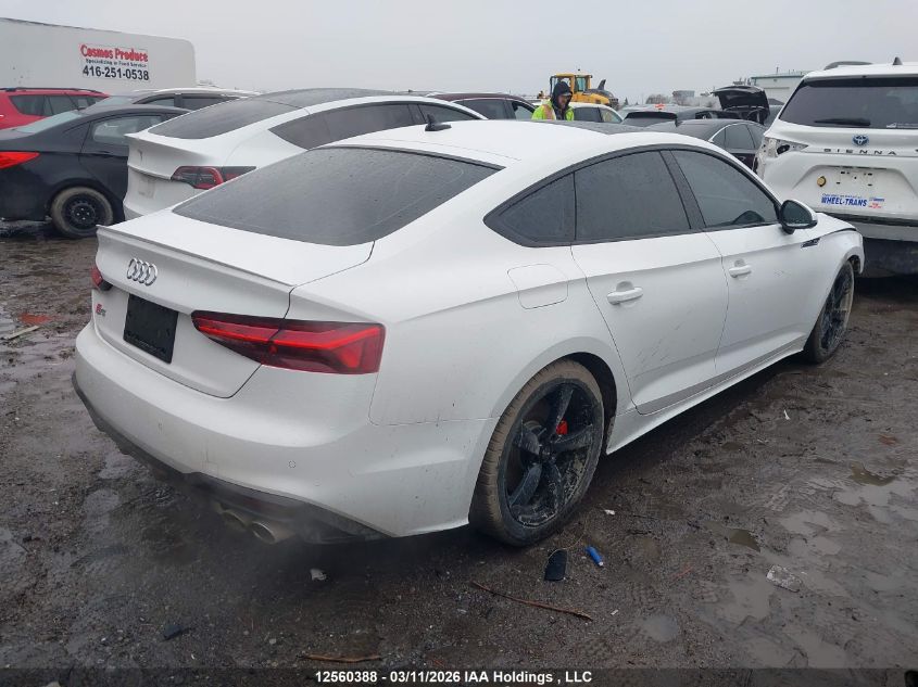2021AUDIS5|WAUB4CF57MA010197